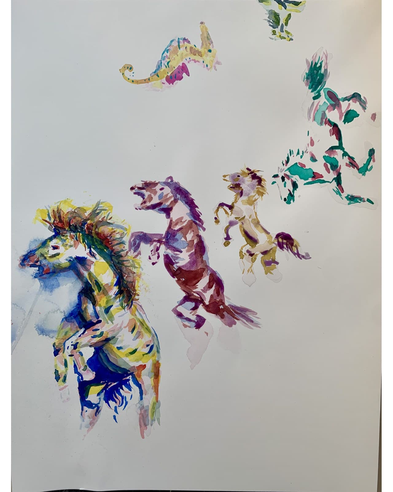 Carousel Study