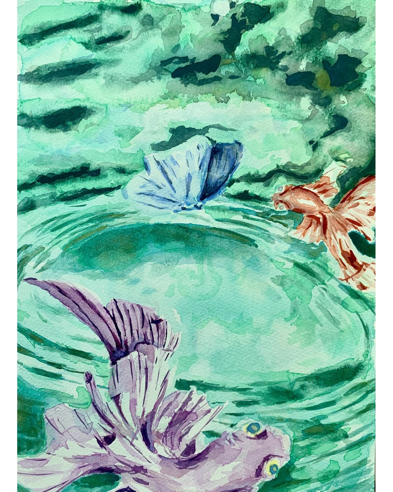 Pond with Butterfly